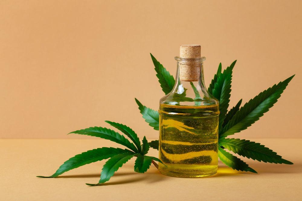 Hogyan készíts és használj házi Cannabis Olajat-Canapuff