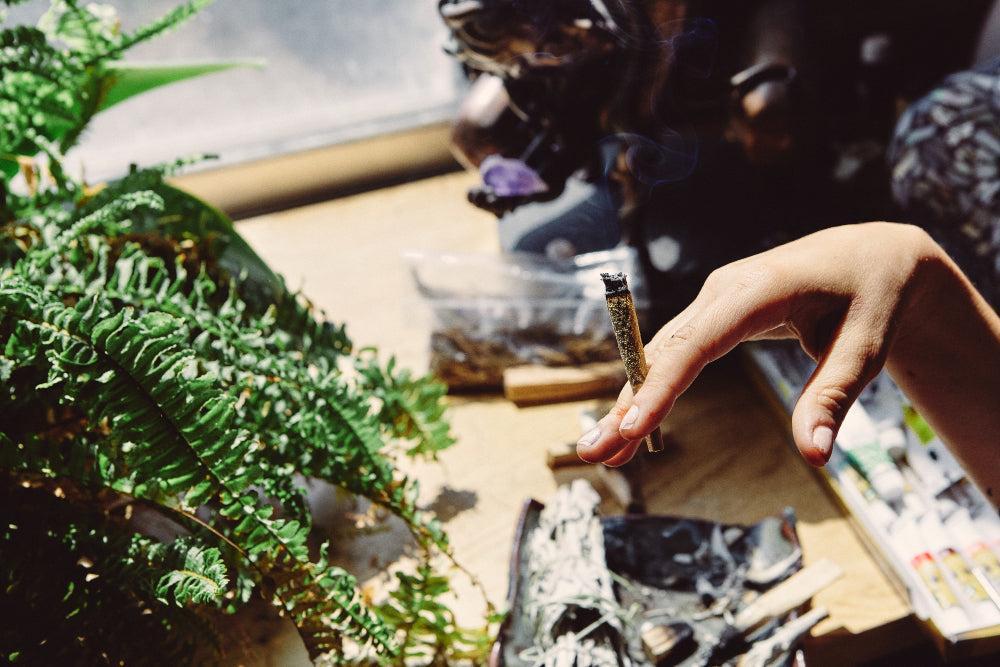 THCA: Nem-pszichoaktív kannabinoid egészségügyi előnyökkel - Canapuff
