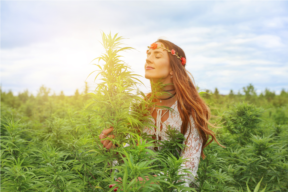 Woman with flower crown in blooming cannabis field under blue sky