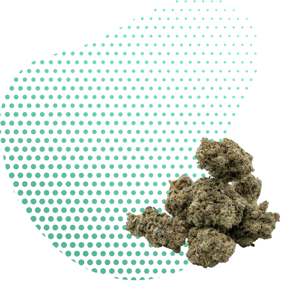 THP420 Canapuff