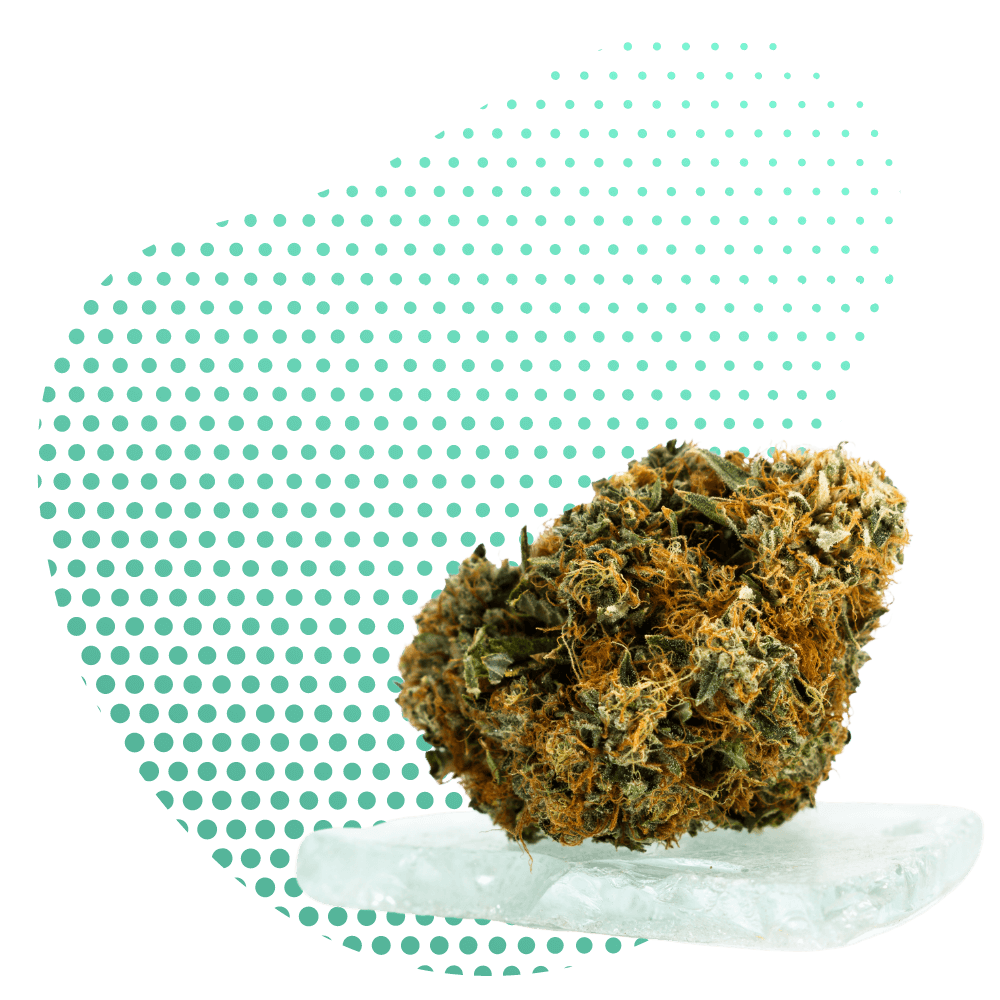 A 10-OH-HHC Virágzat legális?