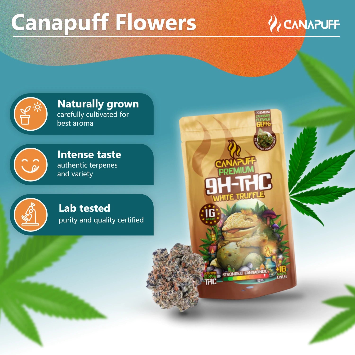 9H-THC Virágzat White Truffle 99%