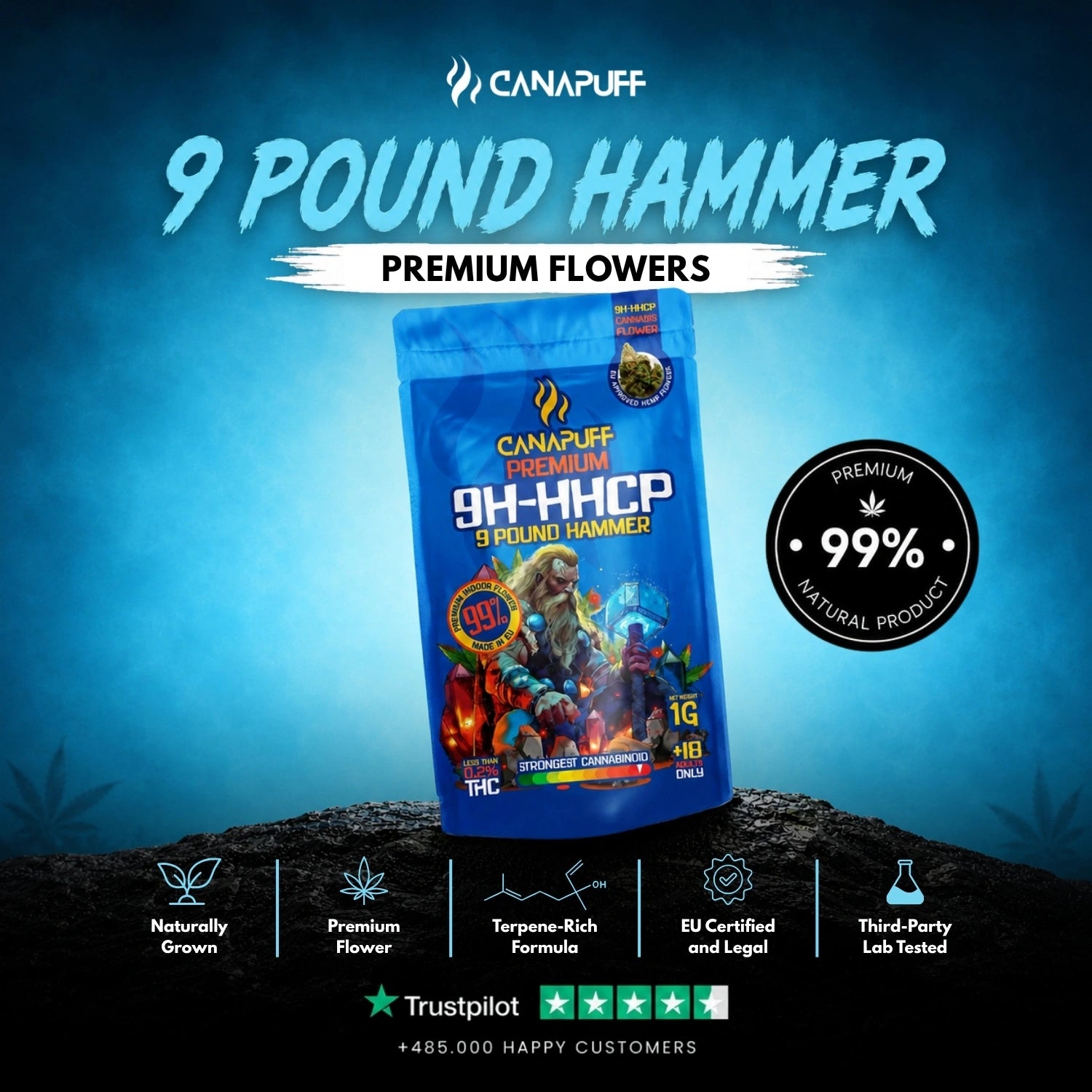 9h-HHCP Virágzat 9 Pound Hammer 99%