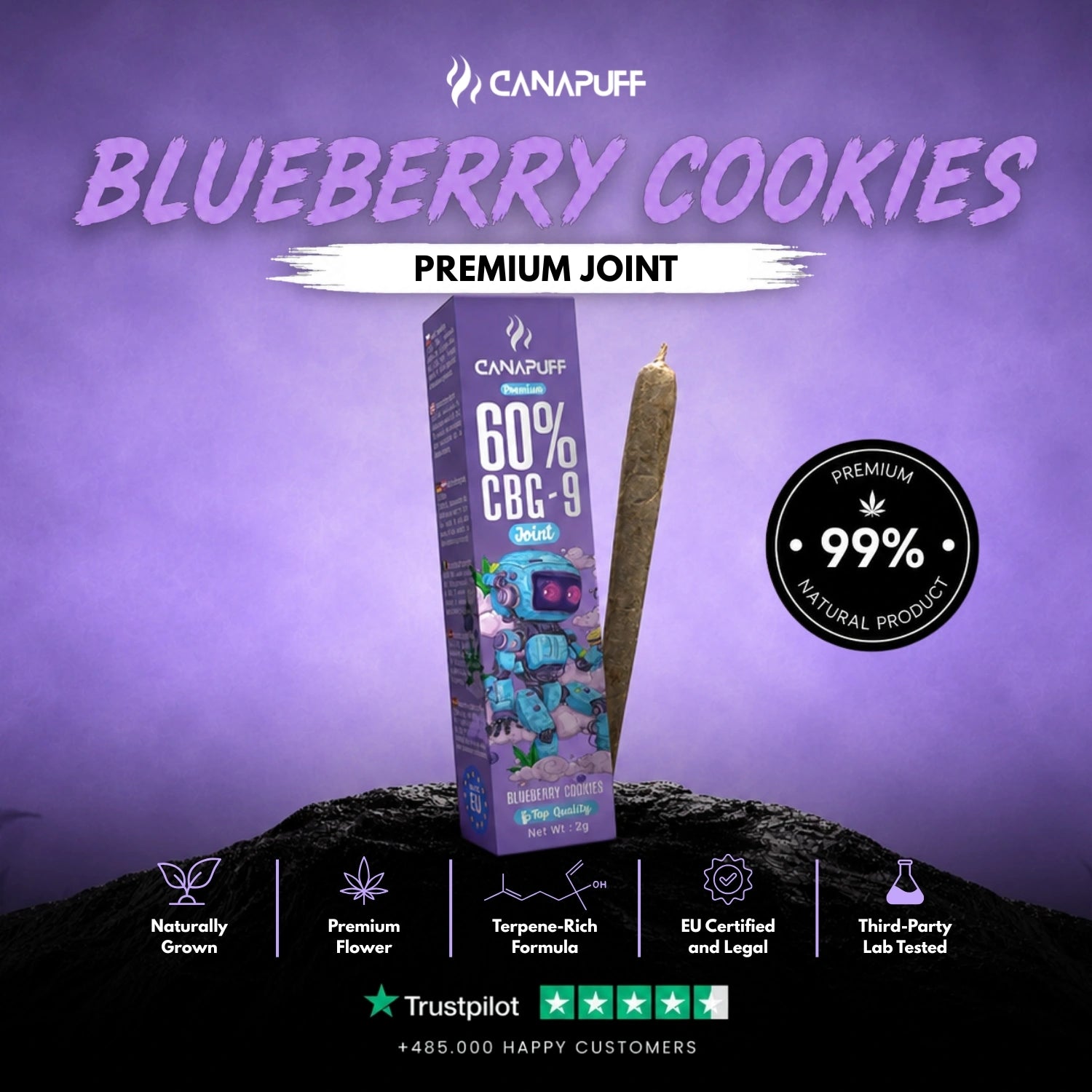 CBG9 Joint Áfonya cookies 60% 2g
