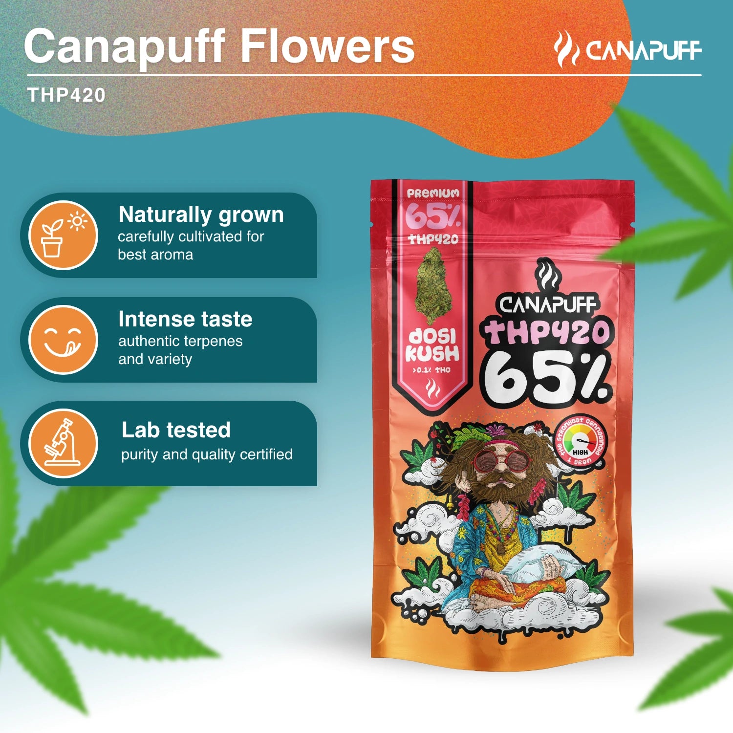 Dosi Kush 65% - THP420 Virágzat - Canapuff