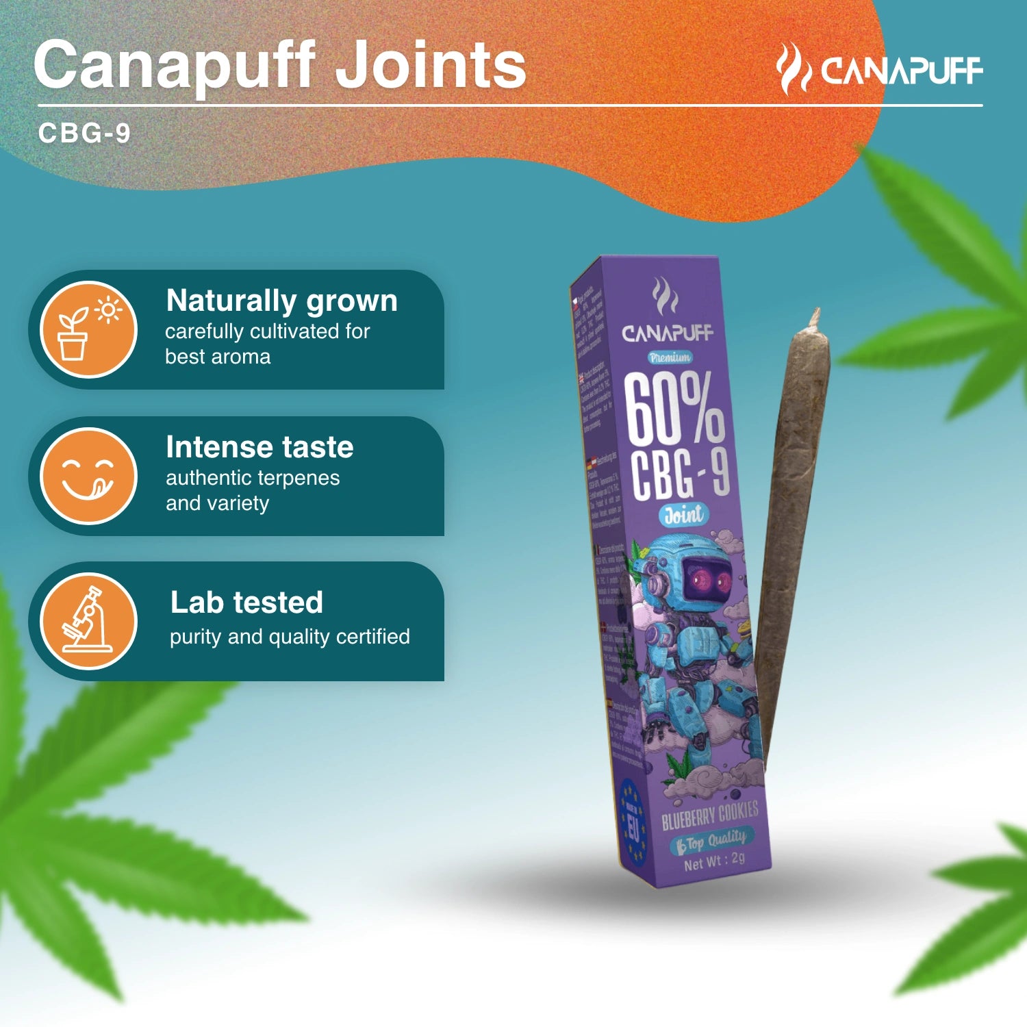 CBG9 Joint 60% Blueberry Cookies 2g - Canapuff