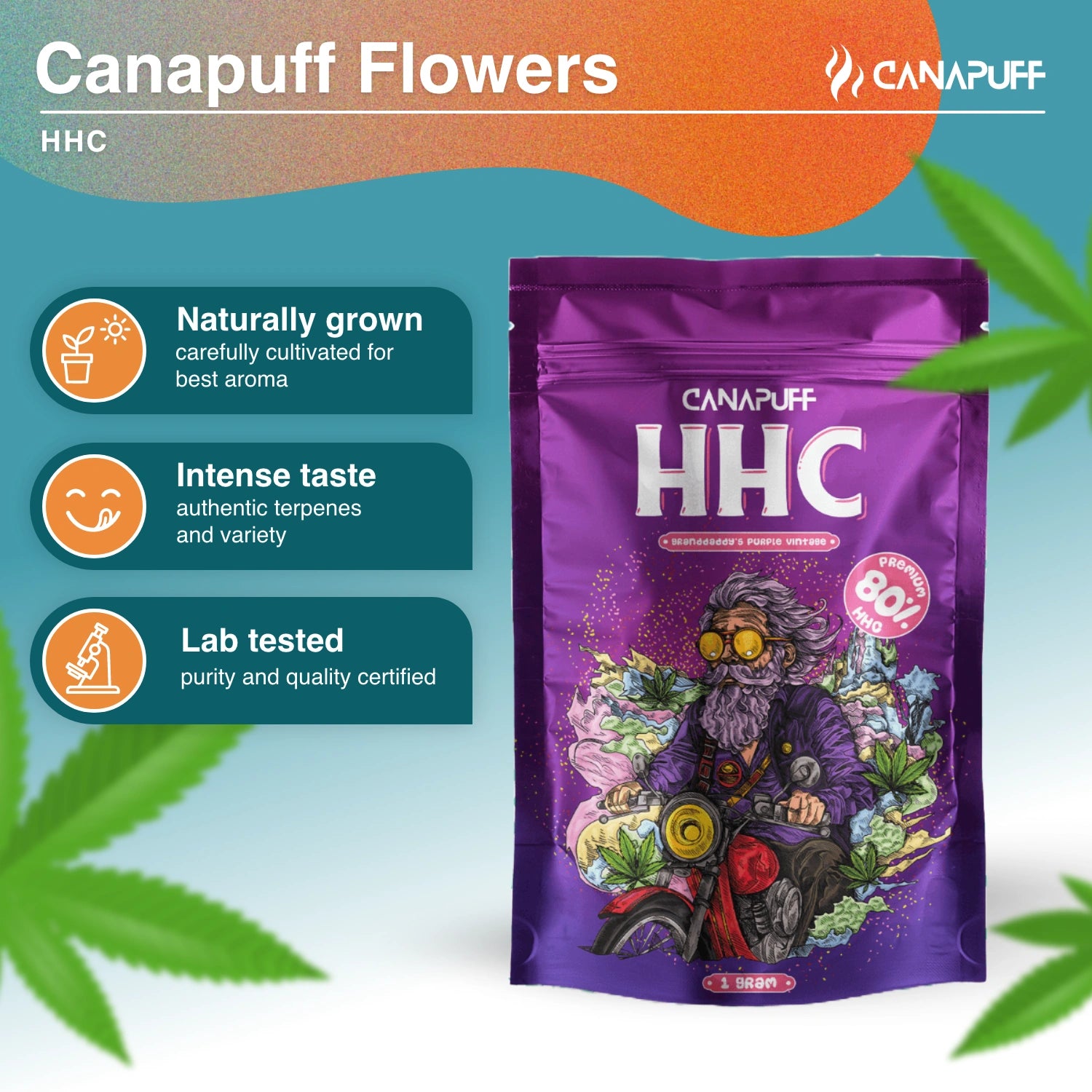 Grandaddy's Purple Vintage 80% - HHC Virágzat - Canapuff