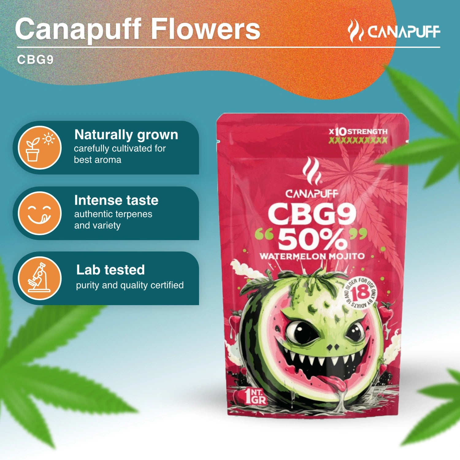 Watermelon Mojito 50% - CBG9 Virágzat - Canapuff