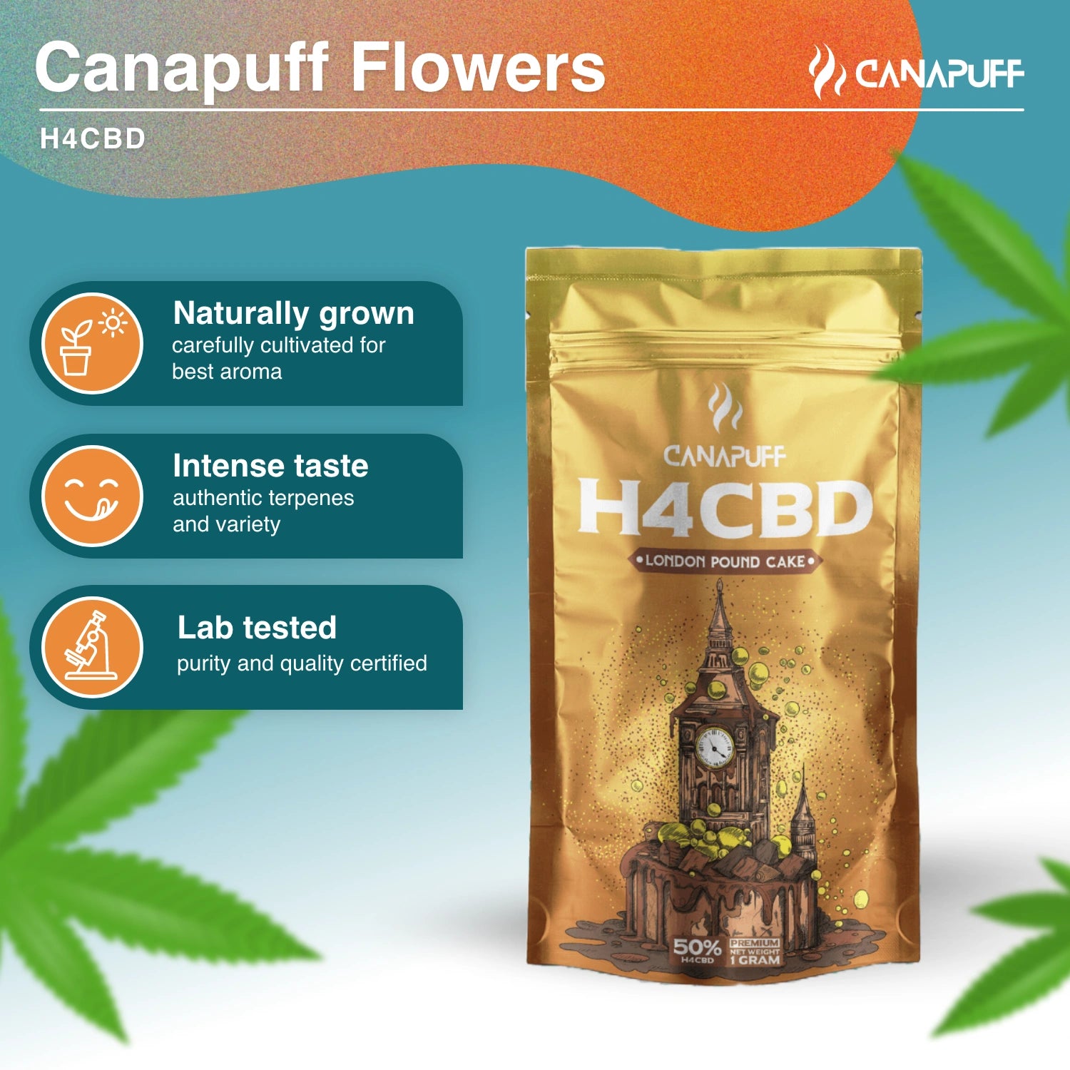 London Pound Cake 50% - H4CBD Virágzat - CanaPuff
