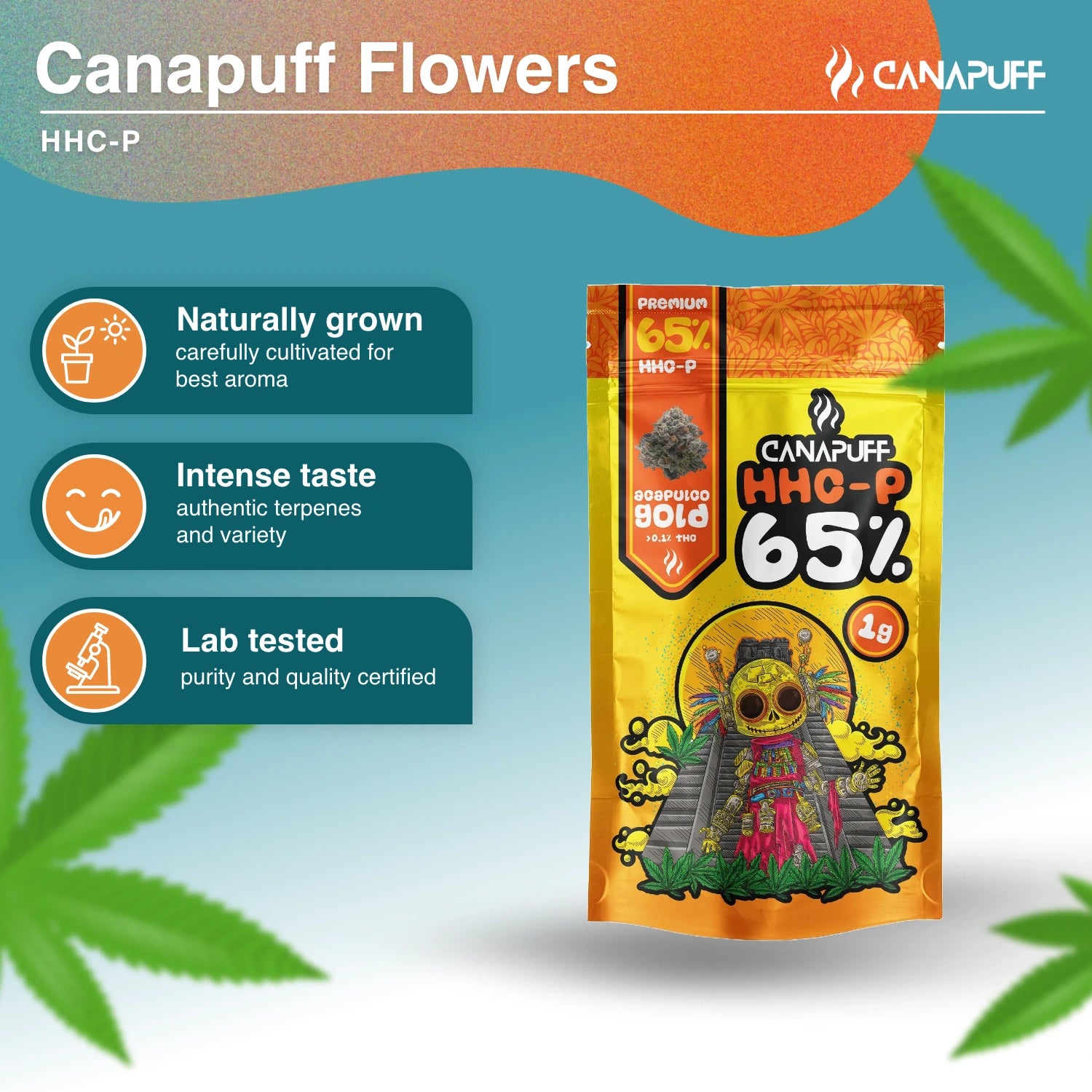 ACAPULCO GOLD 65% - HHC-P Virágzat - CanaPuff