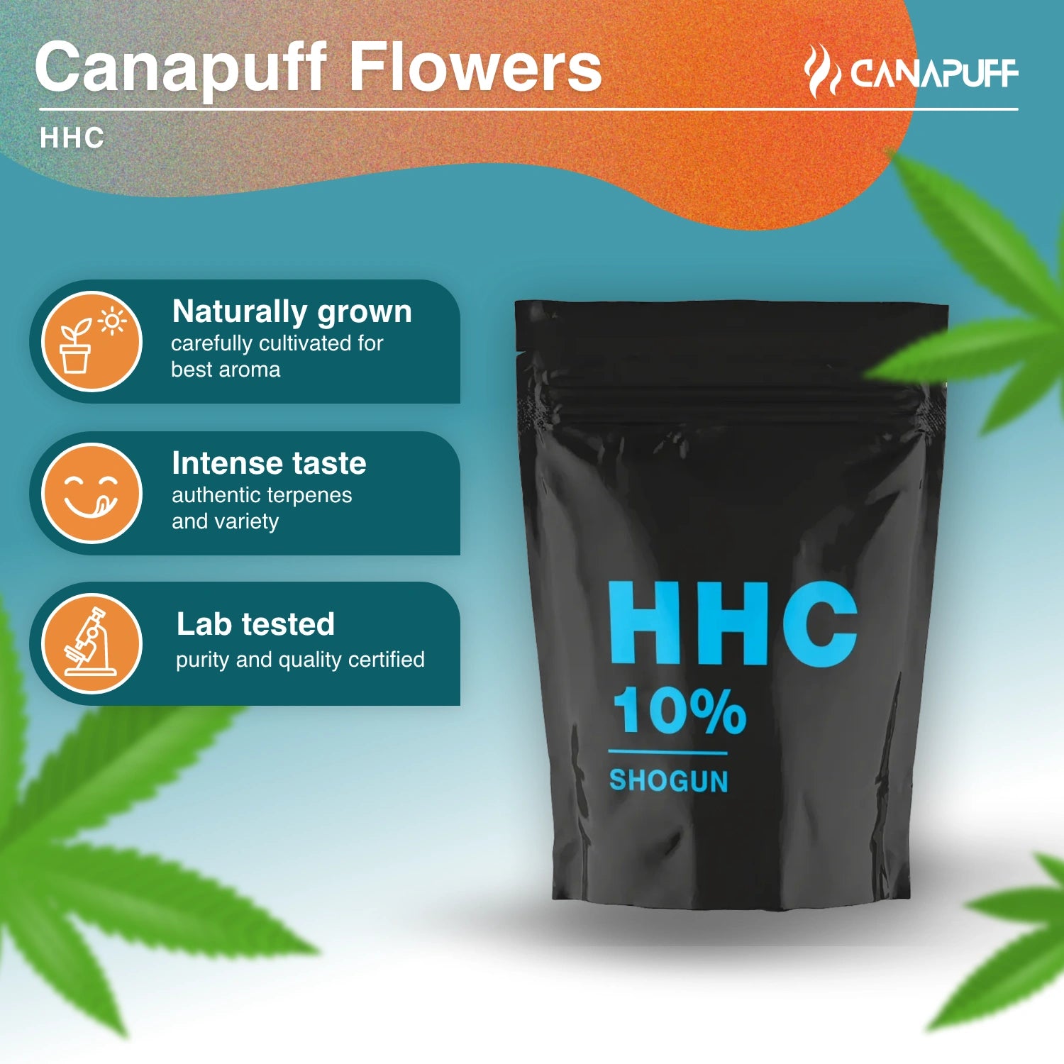 HHC Shogun 10% - Canapuff