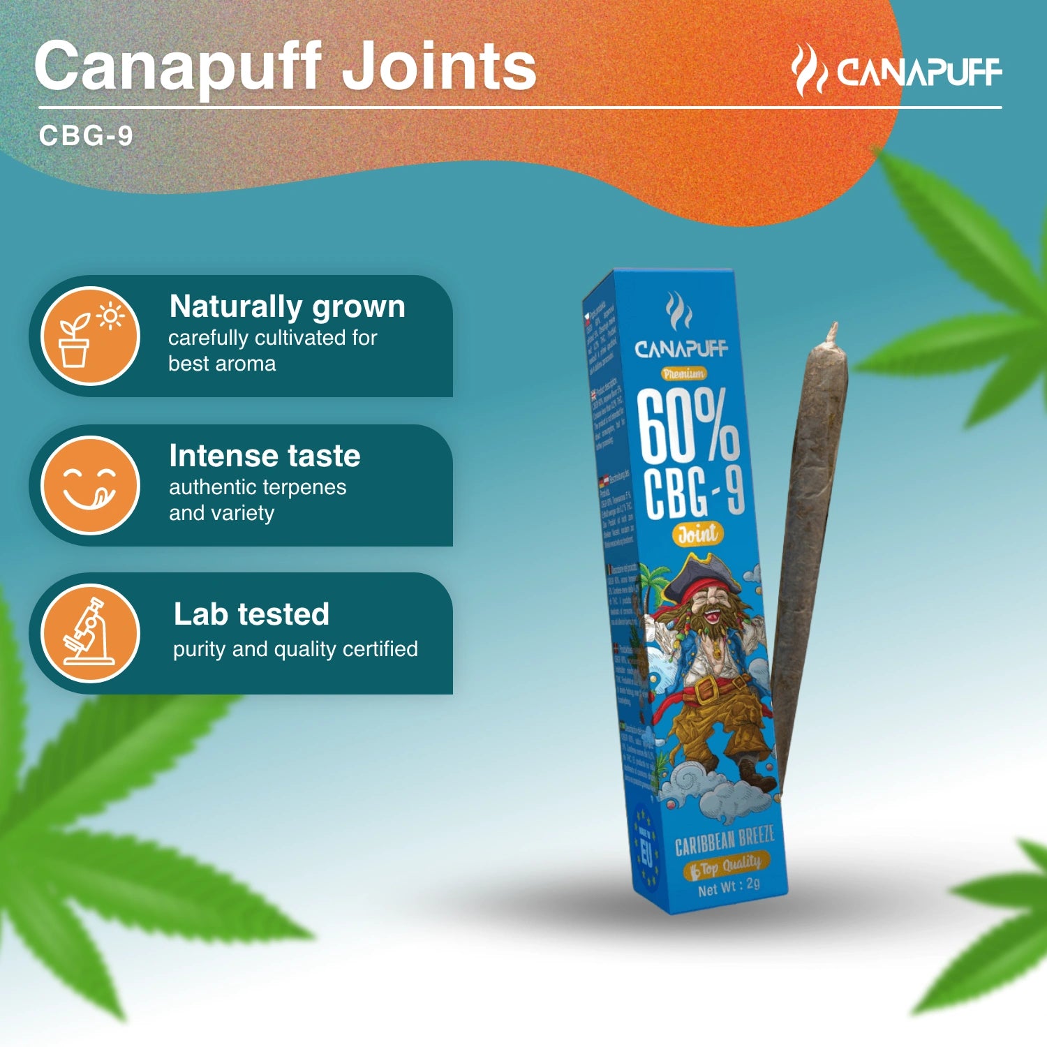 CBG9 Joint 60% Caribbean Breeze - Canapuff