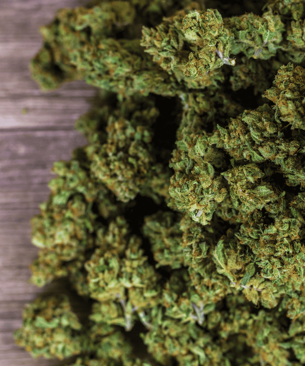 Canapuff HHC P Virágzat