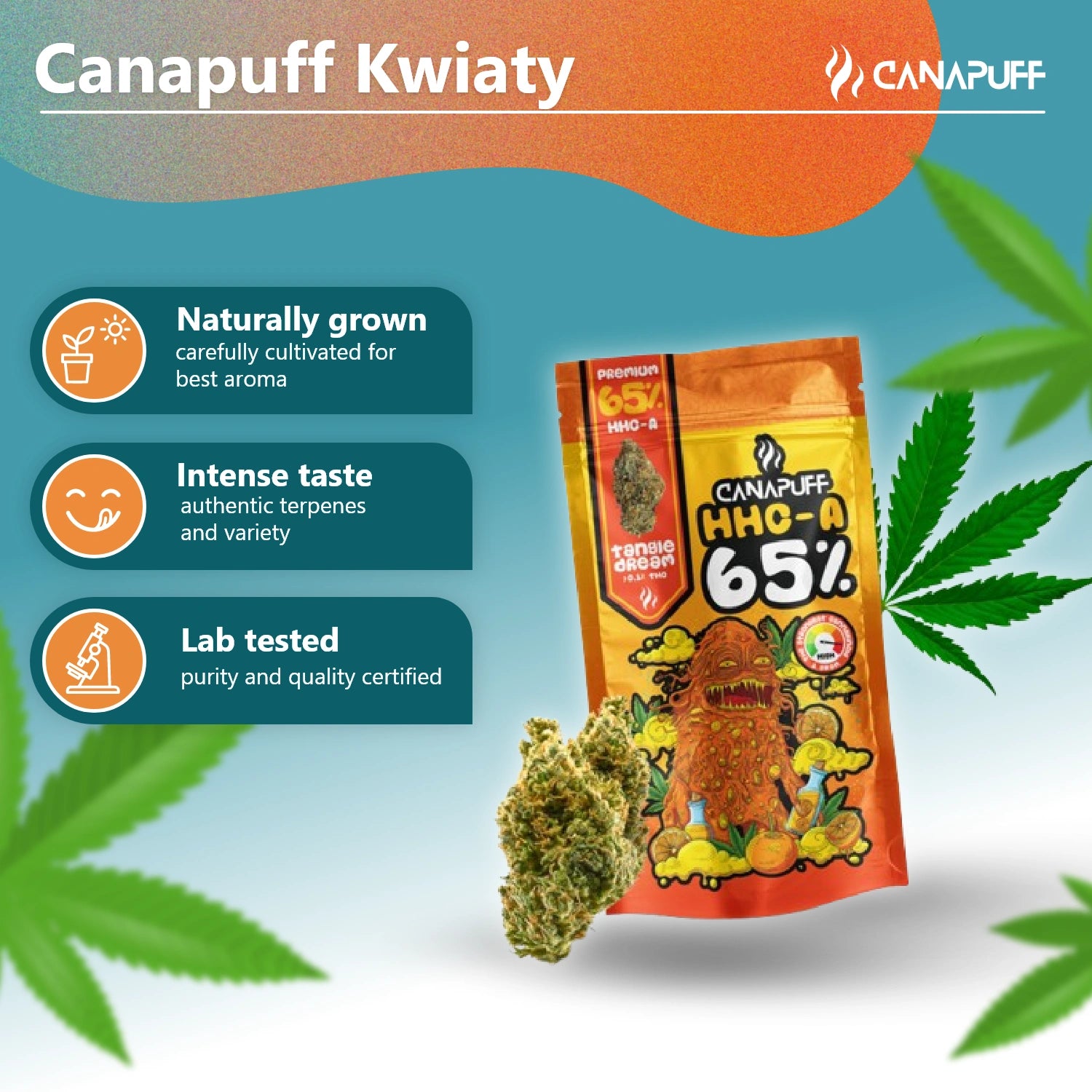 HHC-A Virágzat Tangie Dream 65%