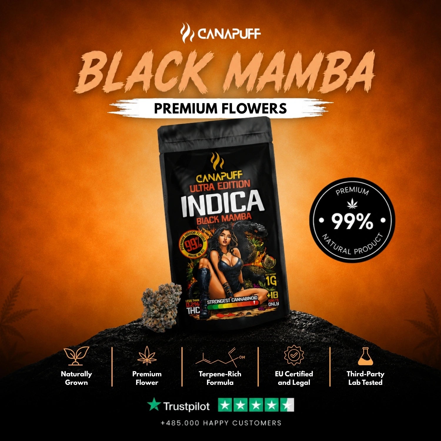 Indica Virágzat Black Mamba Ultra Edition 99%