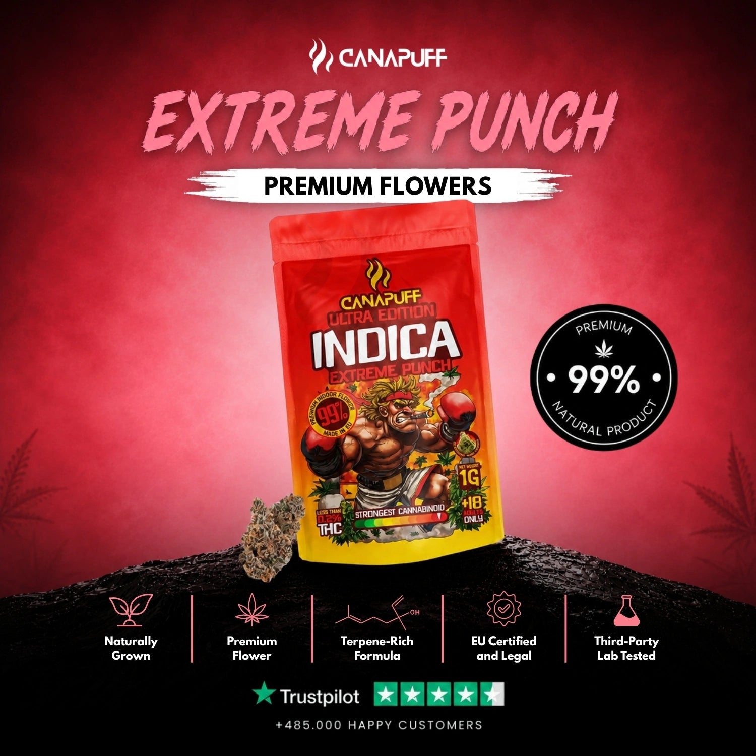 Indica Virágzat Extreme Punch Ultra Edition 99%