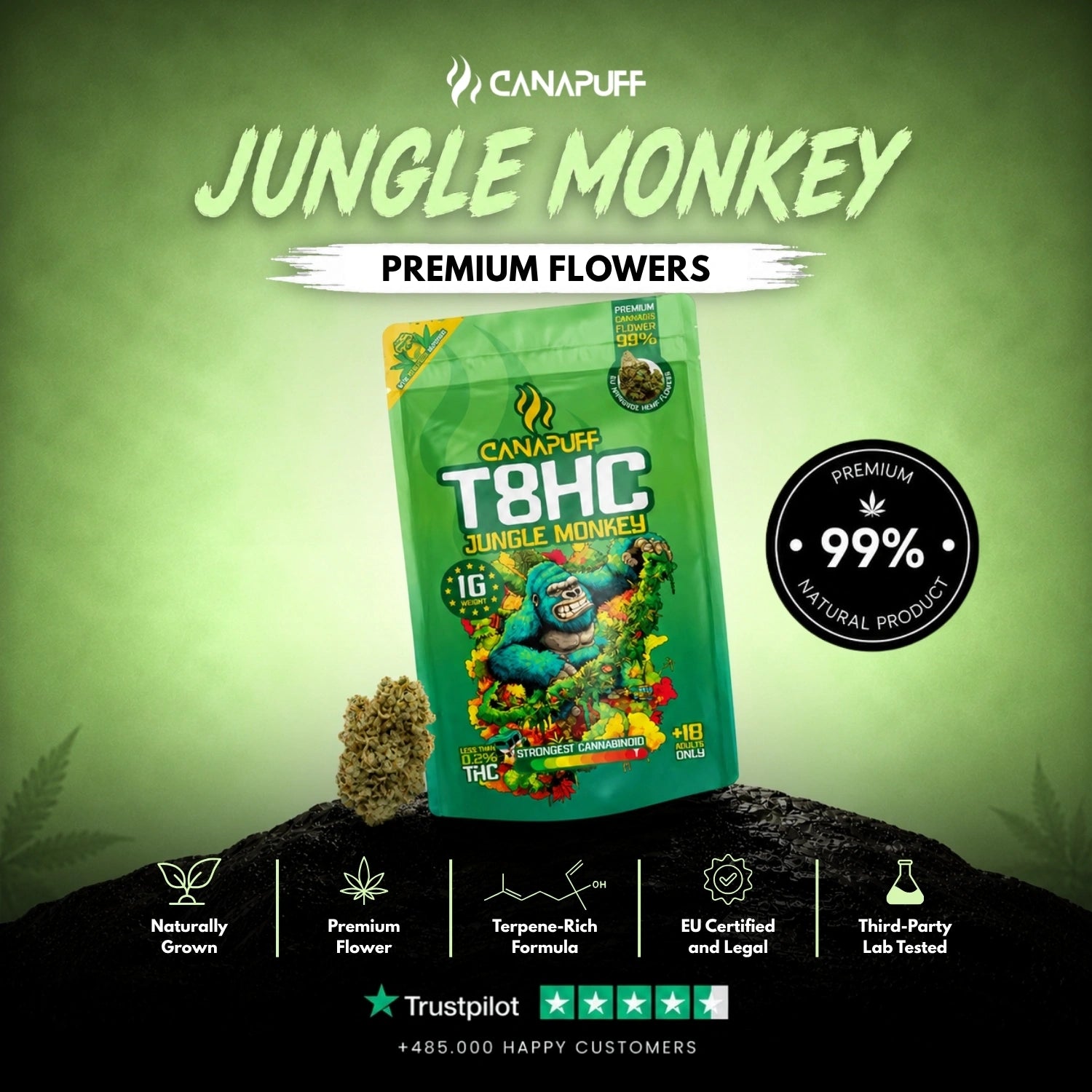 T8HC Virágzat Jungle Monkey 99%