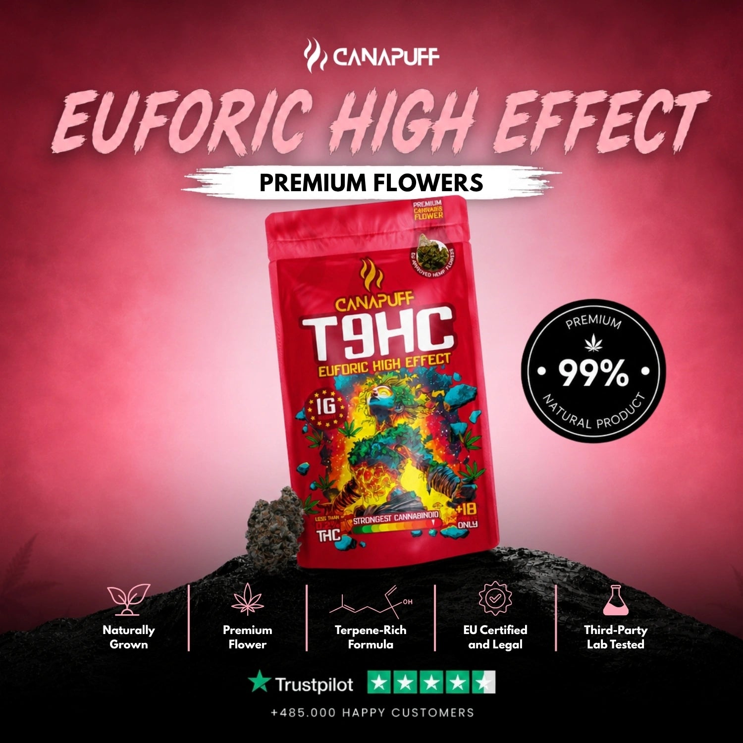 T9HC Virágzat Euforic 99%
