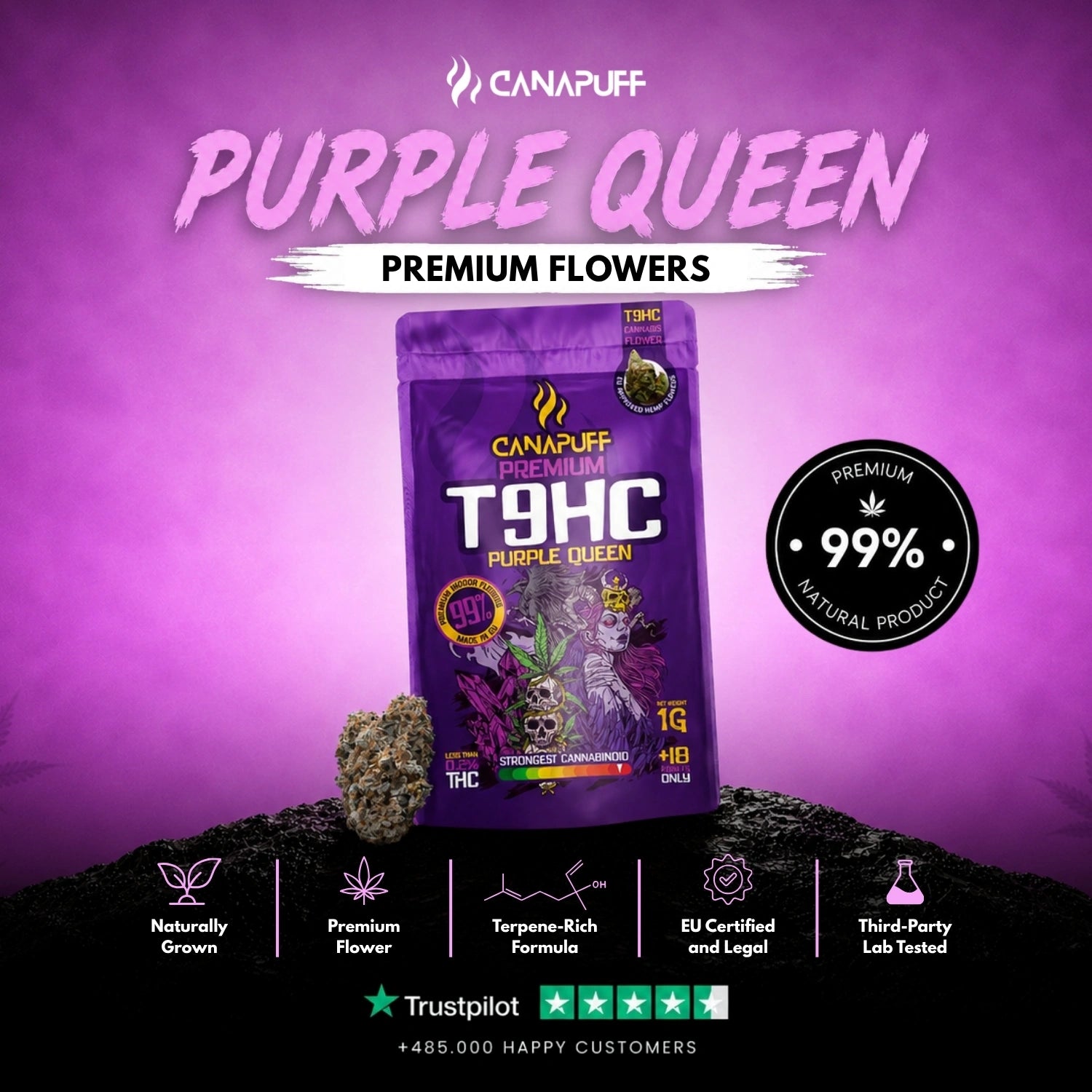 T9HC Virágzat Purple Queen 99%