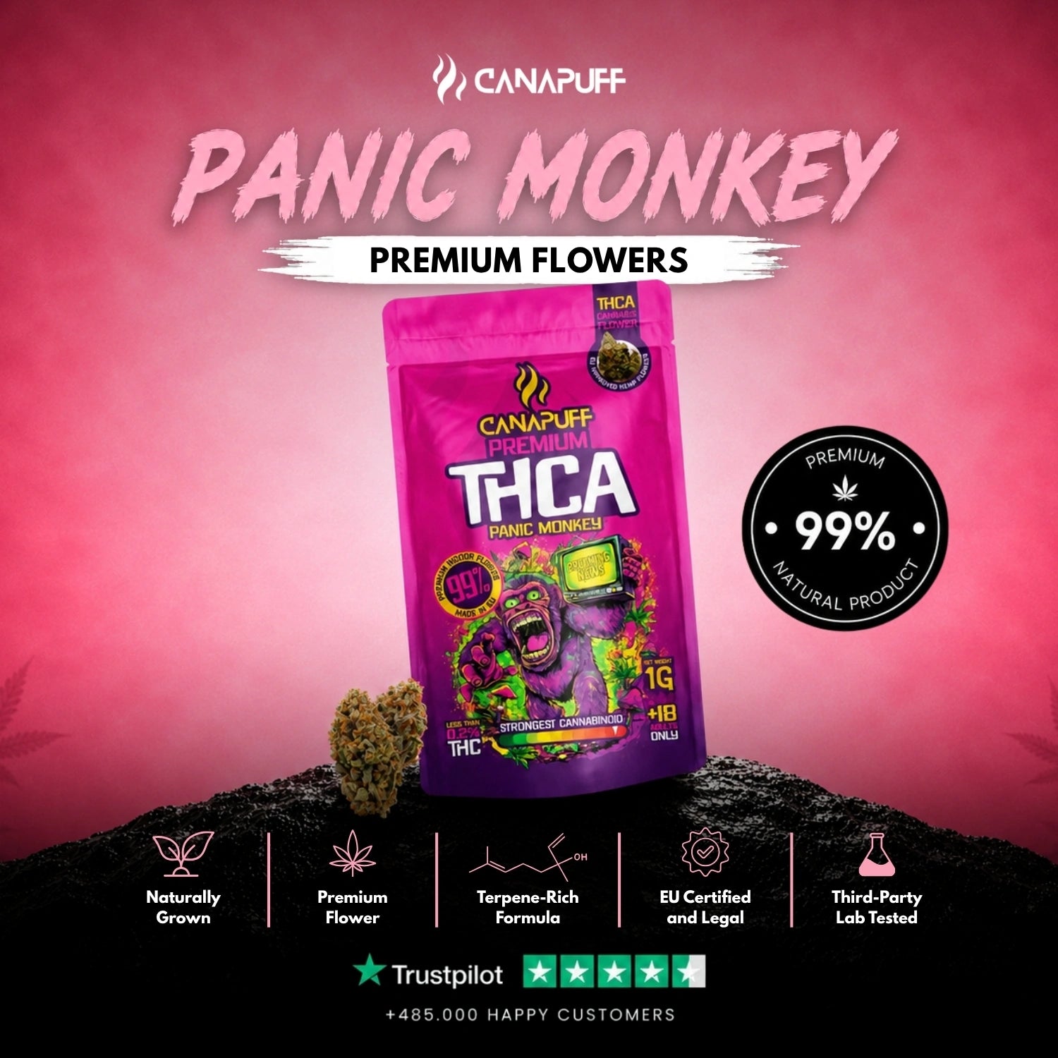 THCA Virágzat Panic Monkey 99%