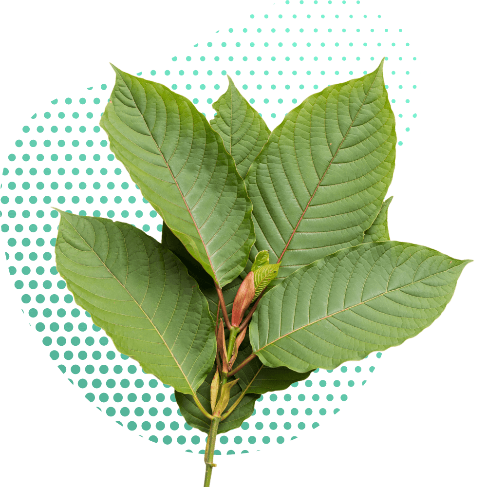 A Kratom természetes előnyei