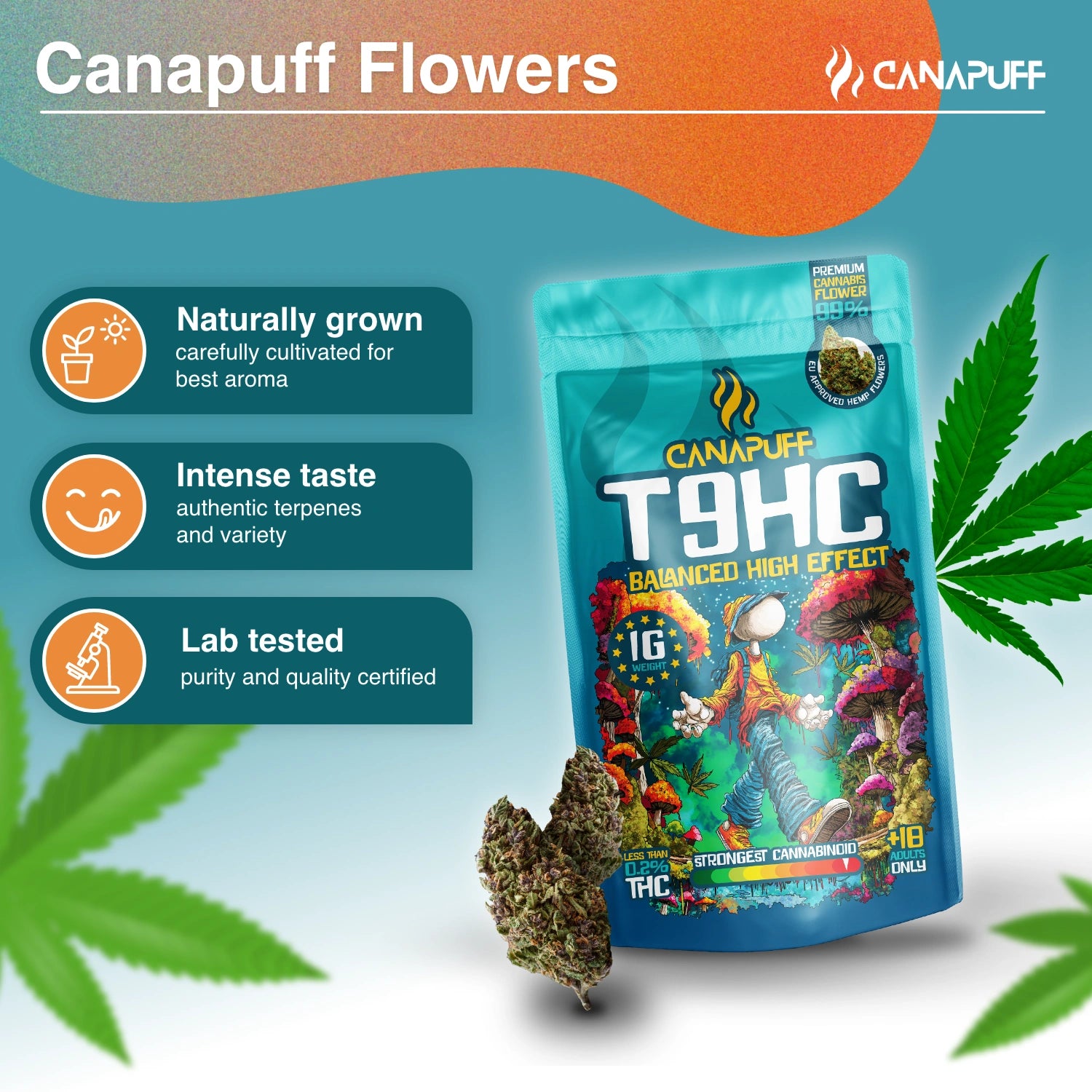 T9HC Virágzat Balanced 99%