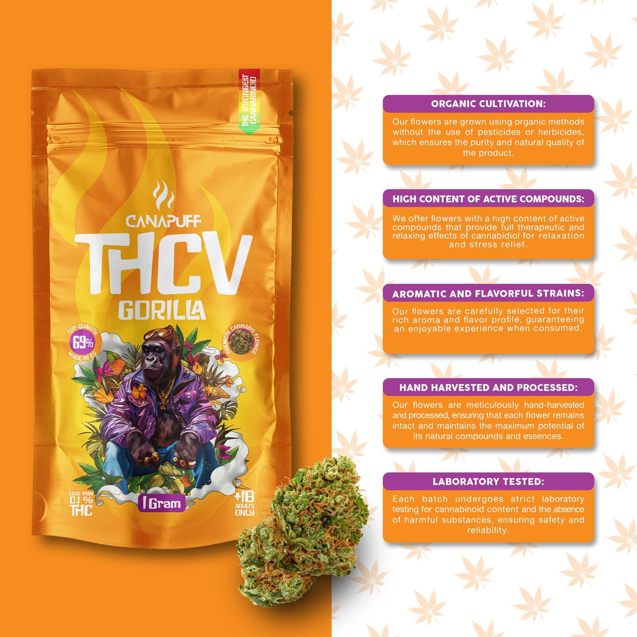 Canapuff - Gorilla 69% - THCv Virágzat-Canapuff