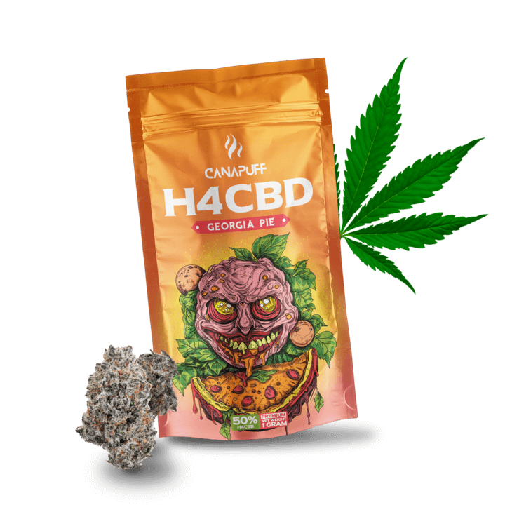 H4CBD Virágzat Georgia Pie 50%