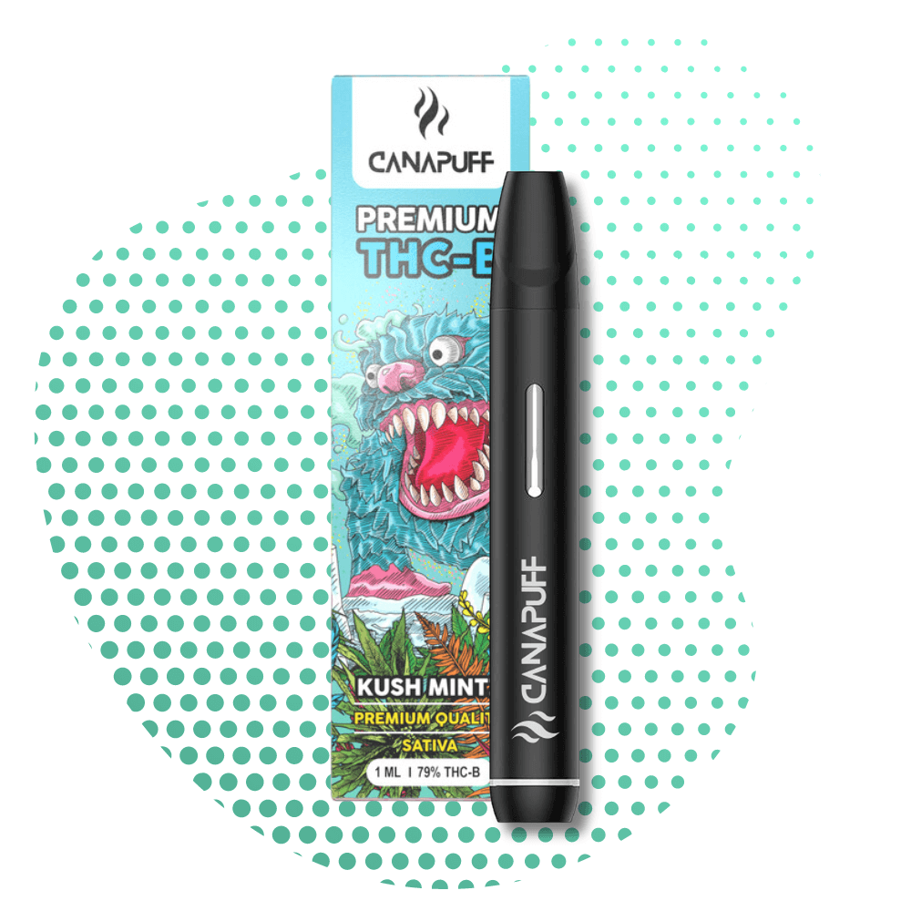 Kush Mintz 79% - THC-B - Canapuff - Egyszeri használat - 1ml Canapuff