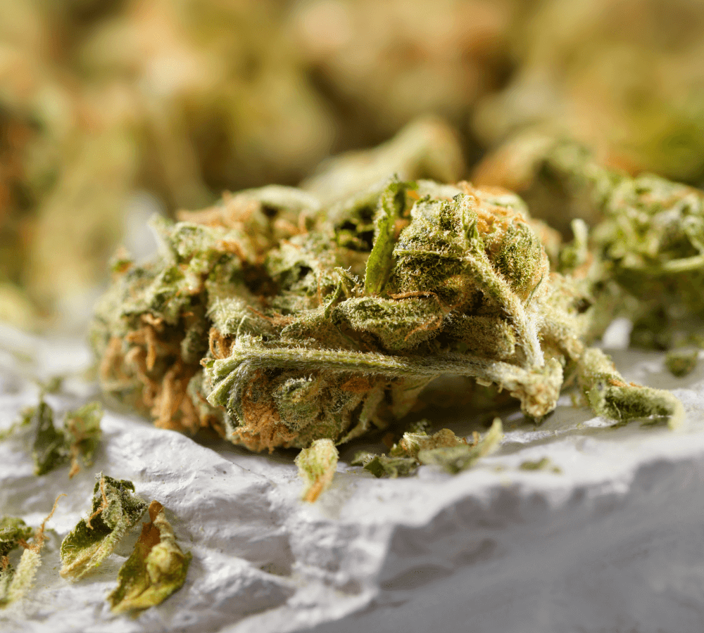 THP420 Cannabis Virágzat