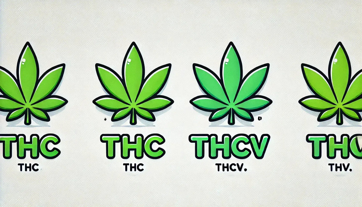 „THC vs THCv” felirat kannabiszlevelekkel, képregény stílusban.