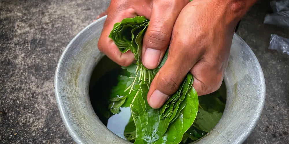 Mennyi Kratomot kell bevenni?