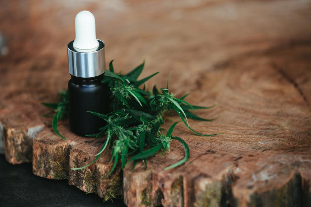 THCA: Előnyök, felhasználás és a legjobb Cannabis Strain-ek - Canapuff