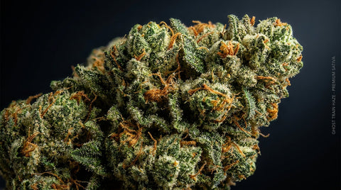 Ghost Train Haze Strain útmutató — Hatások, terpének és eredet