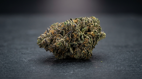 Gorilla Zkittlez Strain útmutató: Hatások, terpének és genetika