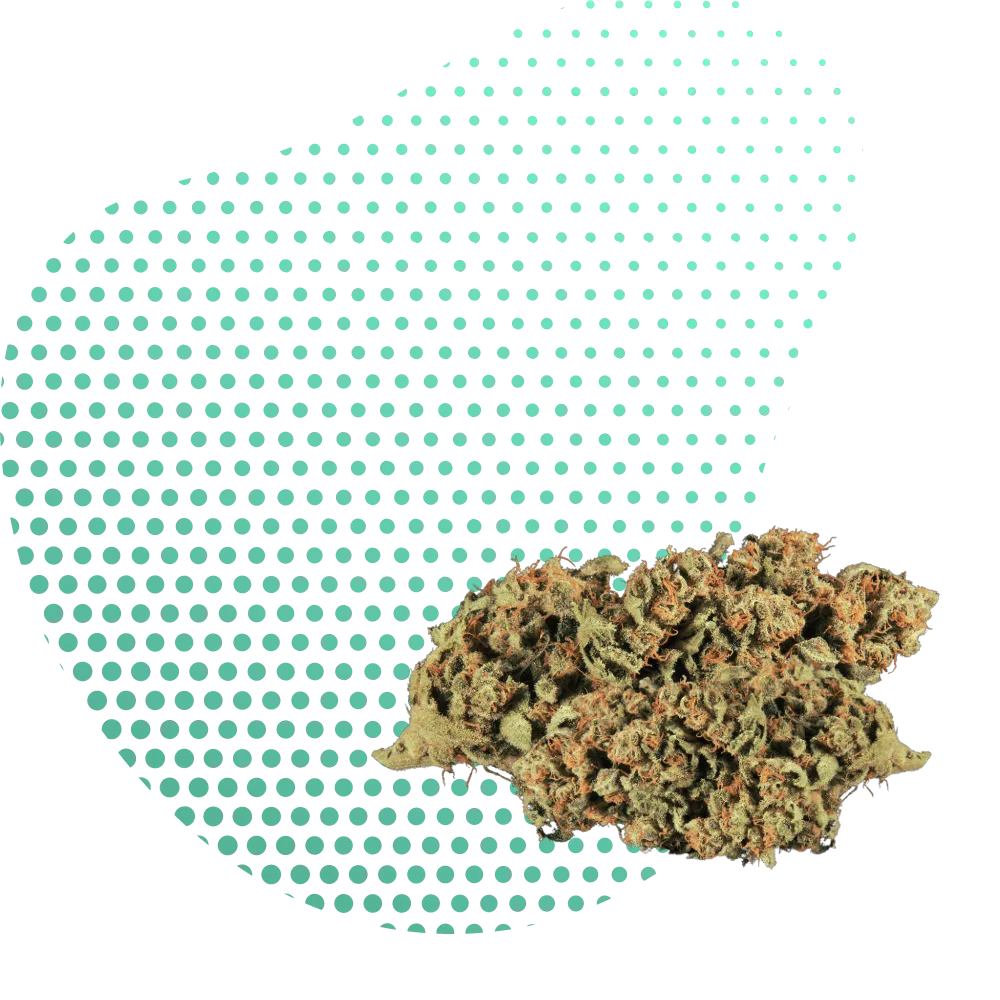 H4CBD-Canapuff