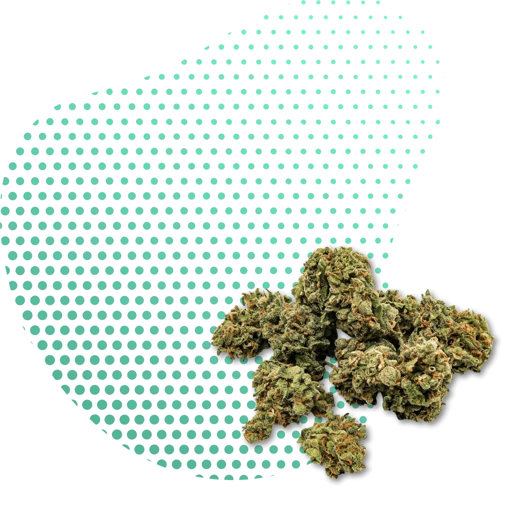 CBN-Canapuff