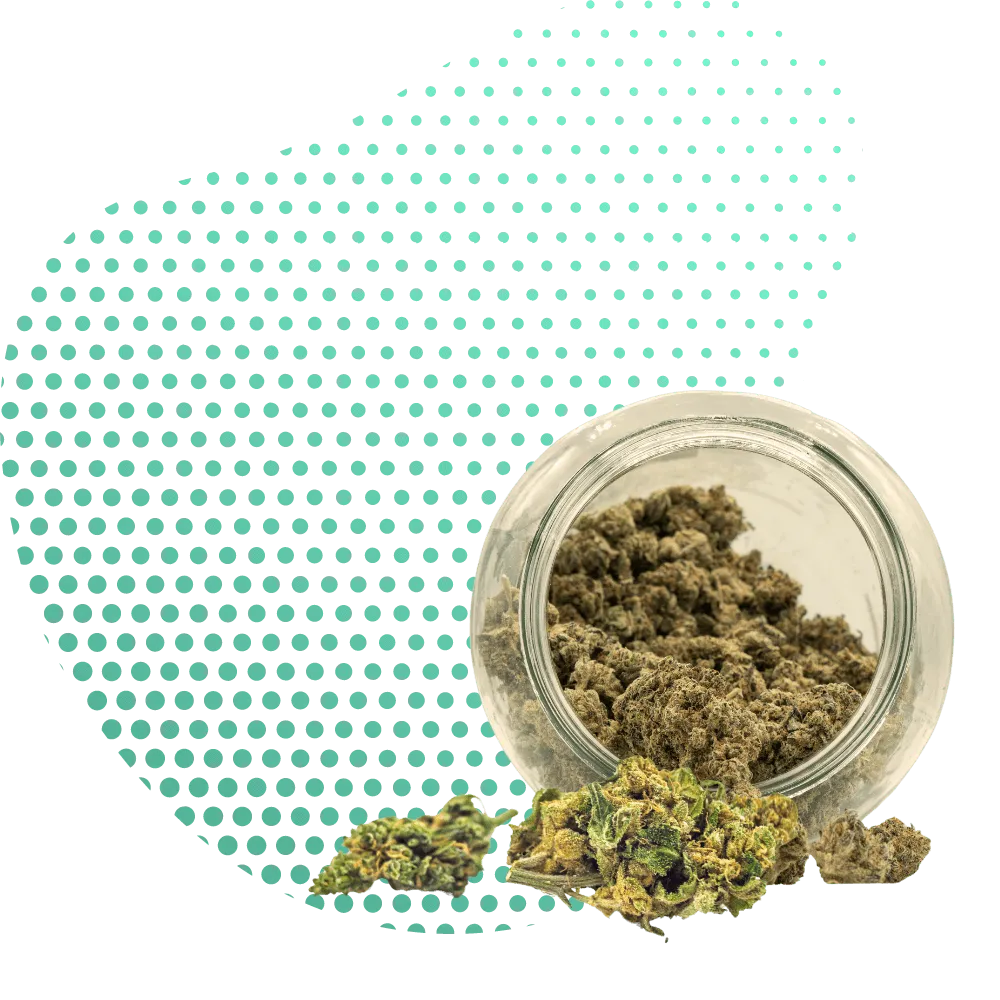 THC-JD-Canapuff