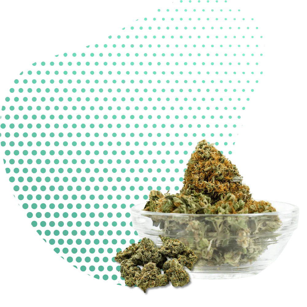 THC-JD Virágzat-Canapuff