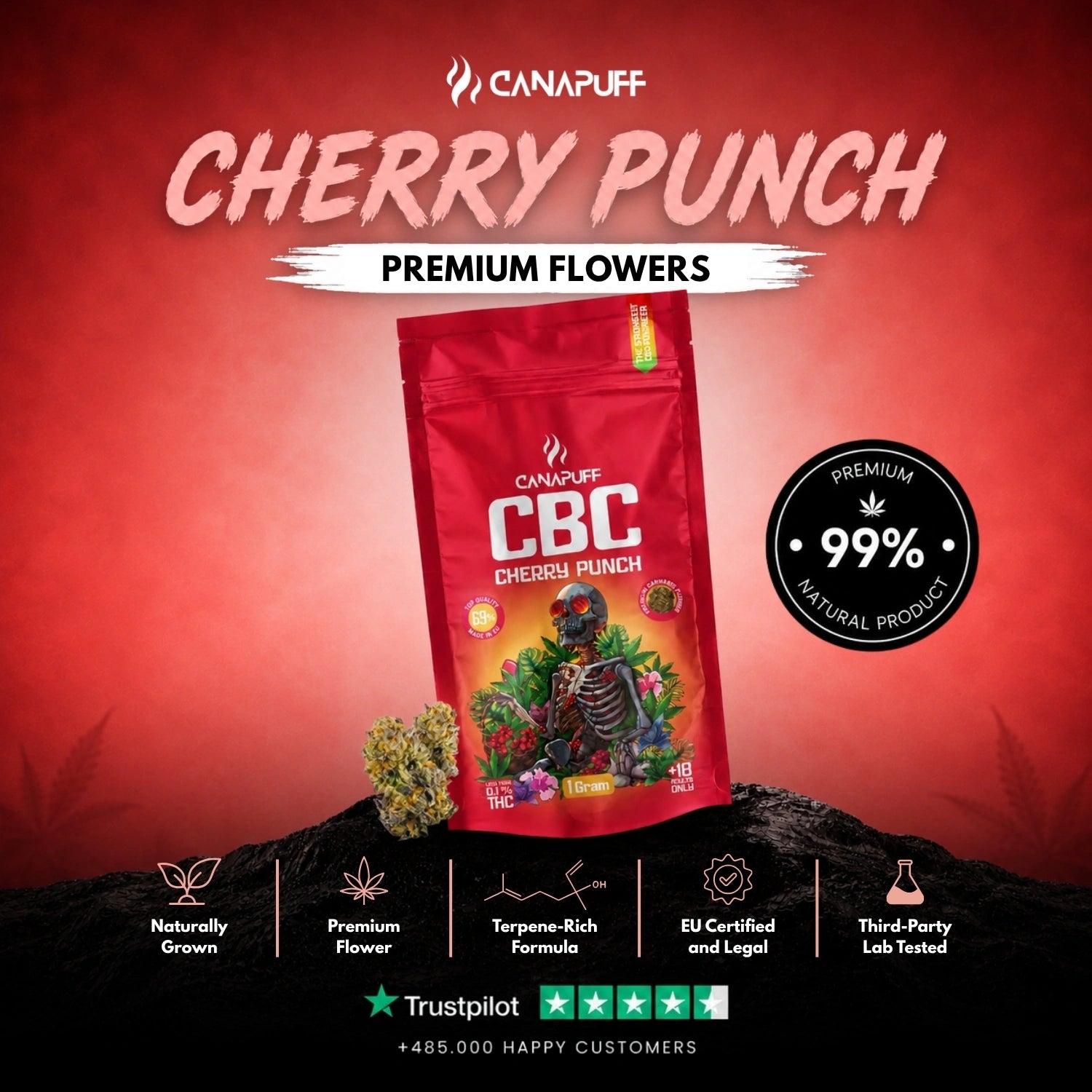 CBC Virágzat Cseresznyepuncs 69%