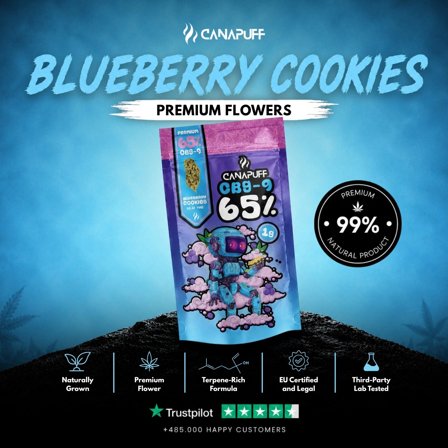 CBG9 Virágzat Blueberry Cookie 65%