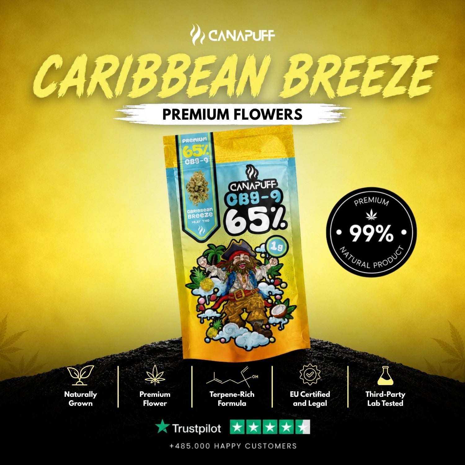 CBG9 Virágzat Caribbean Breeze 65%