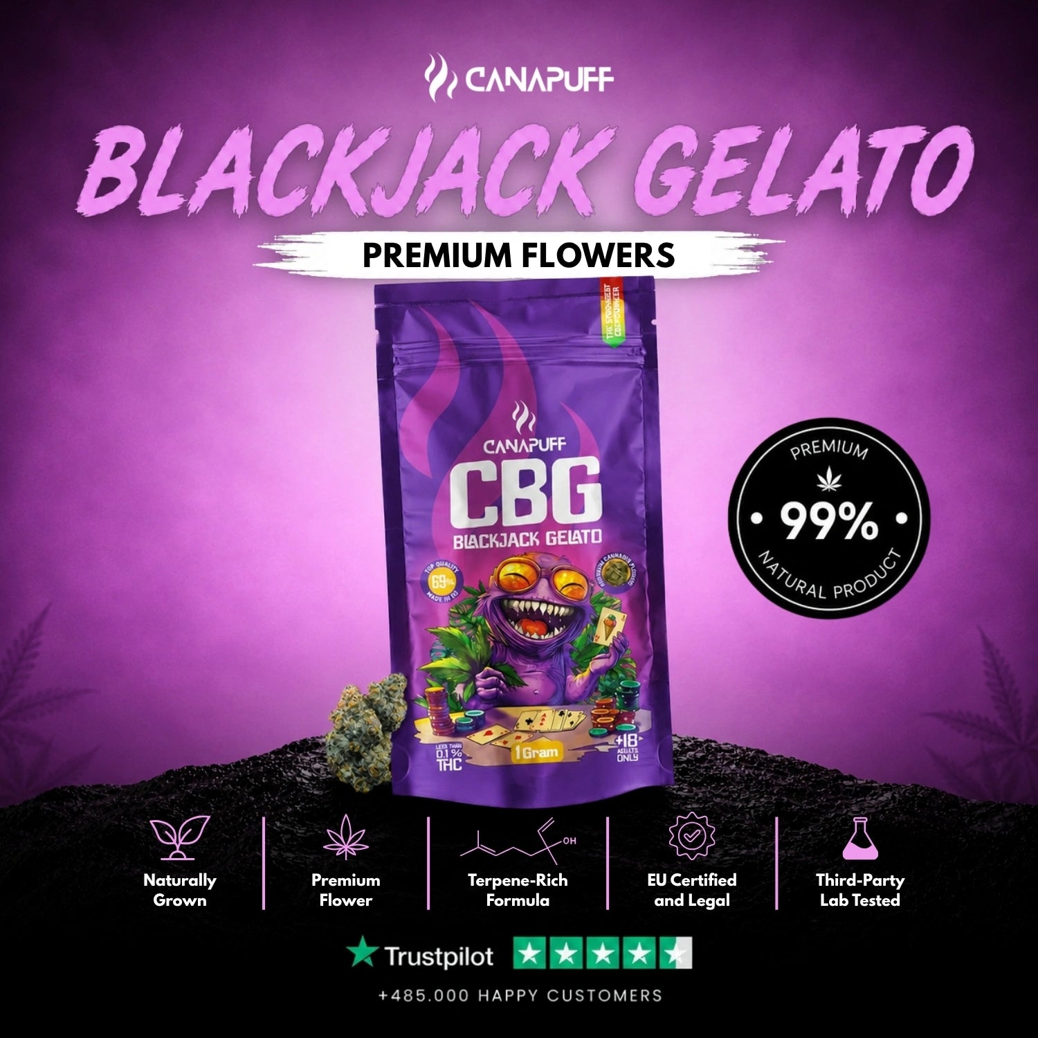 CBG Virágzat Blackjack Gelato 69%