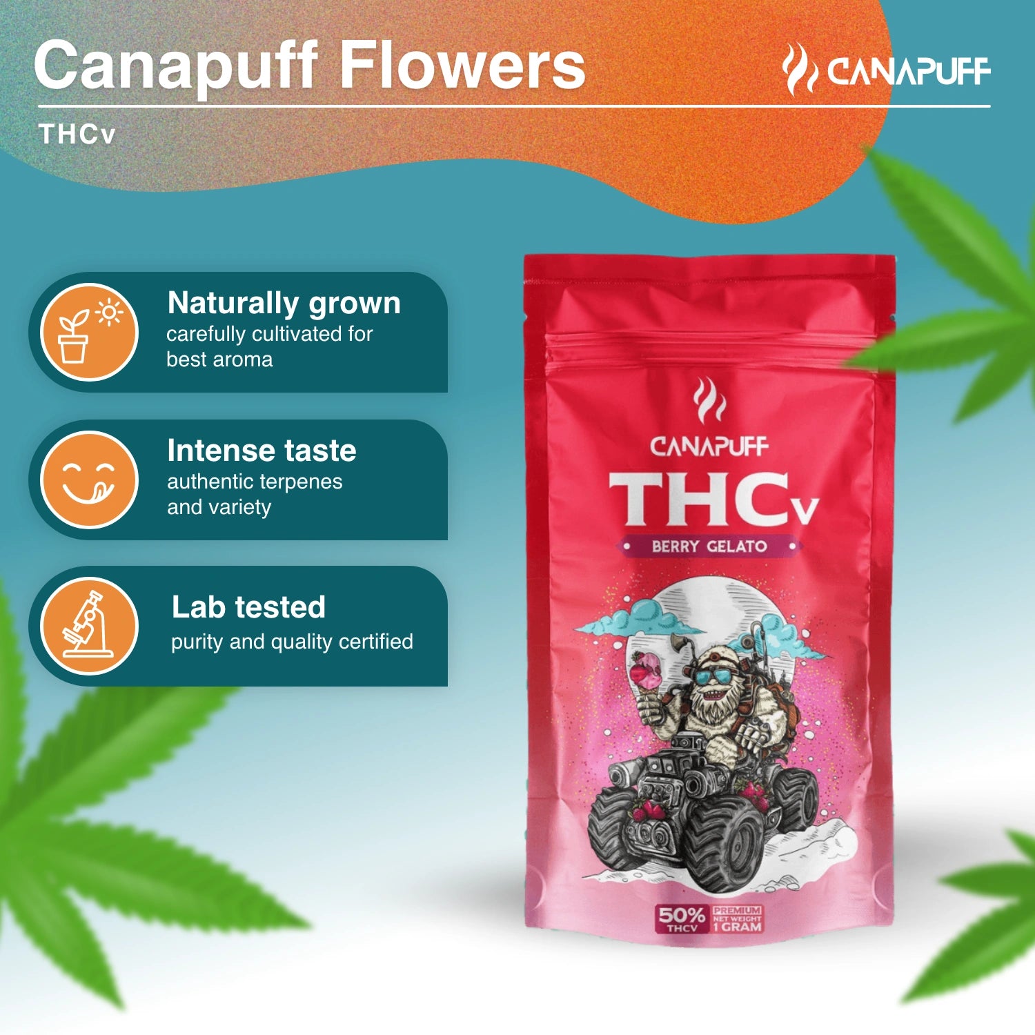 Berry Gelato 50% - THCv Virág - Canapuff