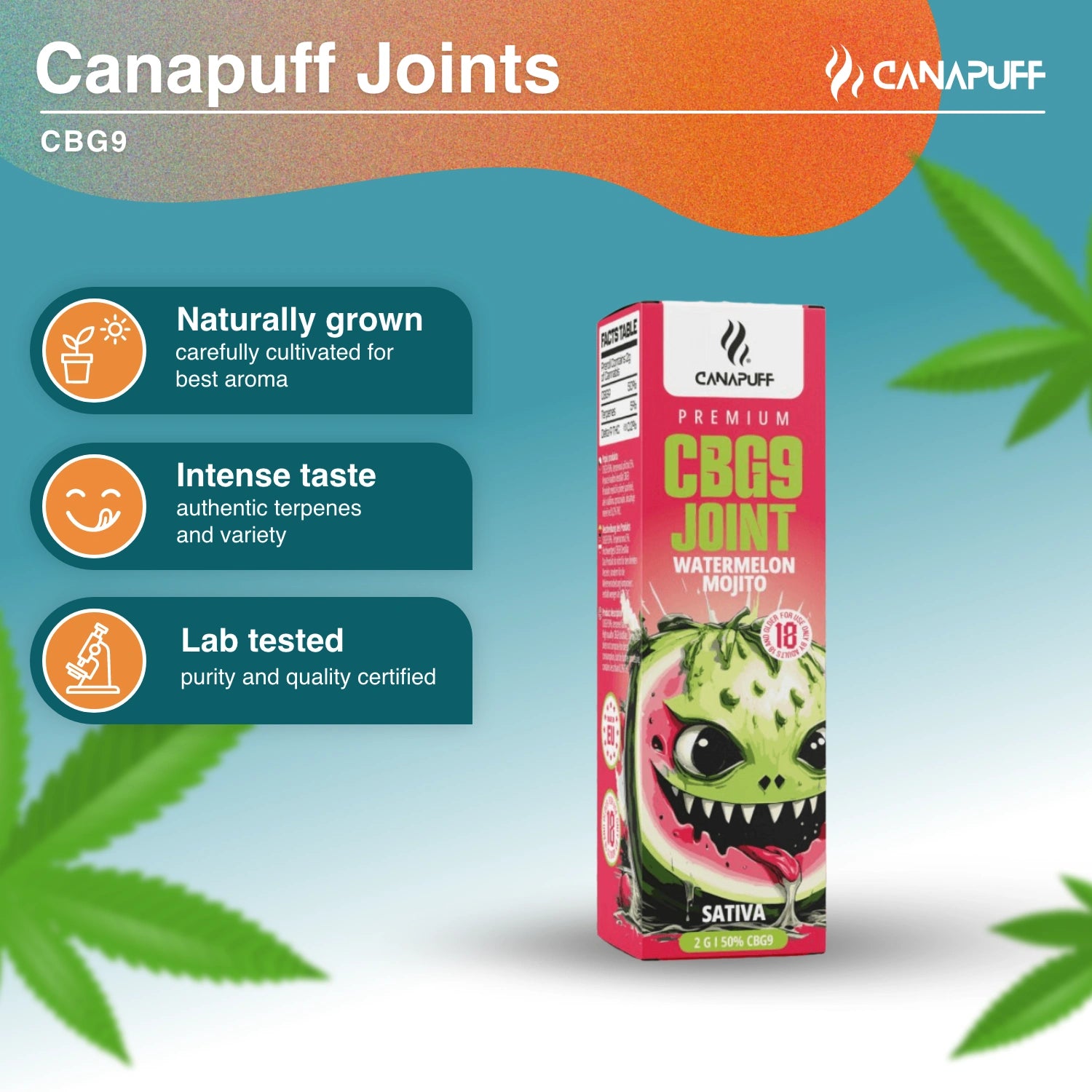 CBG9 Joint 50% Watermelon Mojito 2g - Canapuff