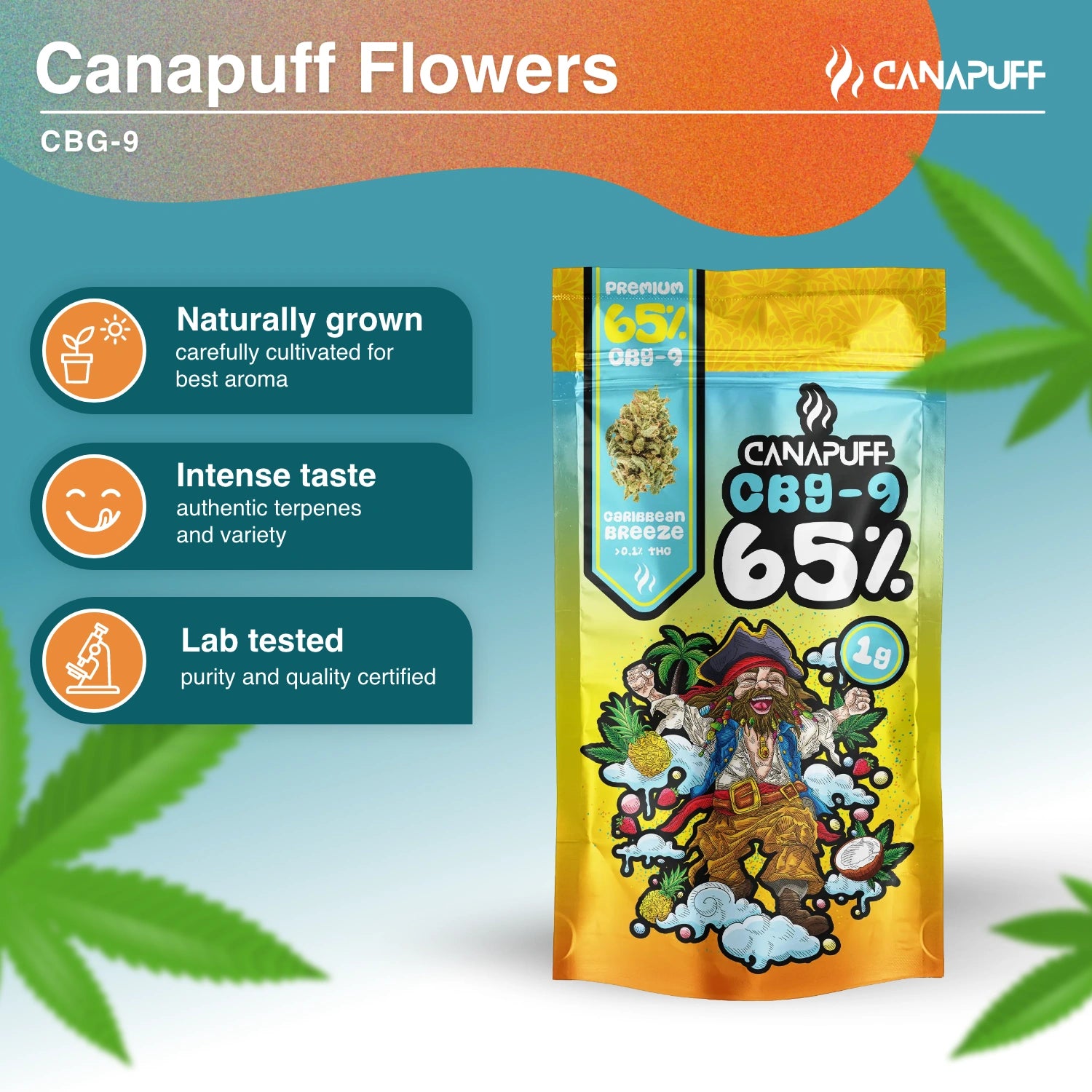 Caribbean Breeze 65% - CBG9 Virágzat - Canapuff