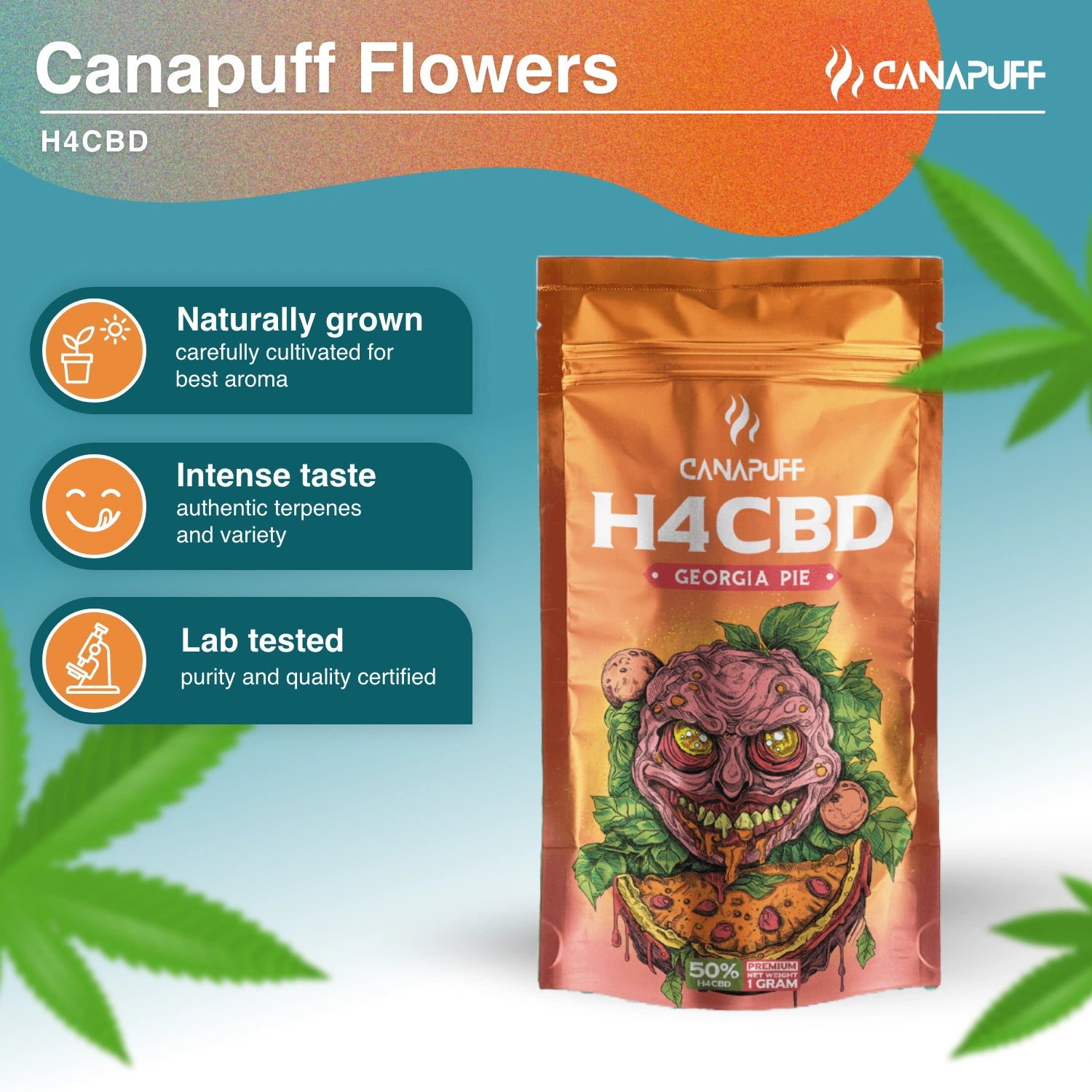 Georgia Pie 50% - H4CBD Virágzat - CanaPuff