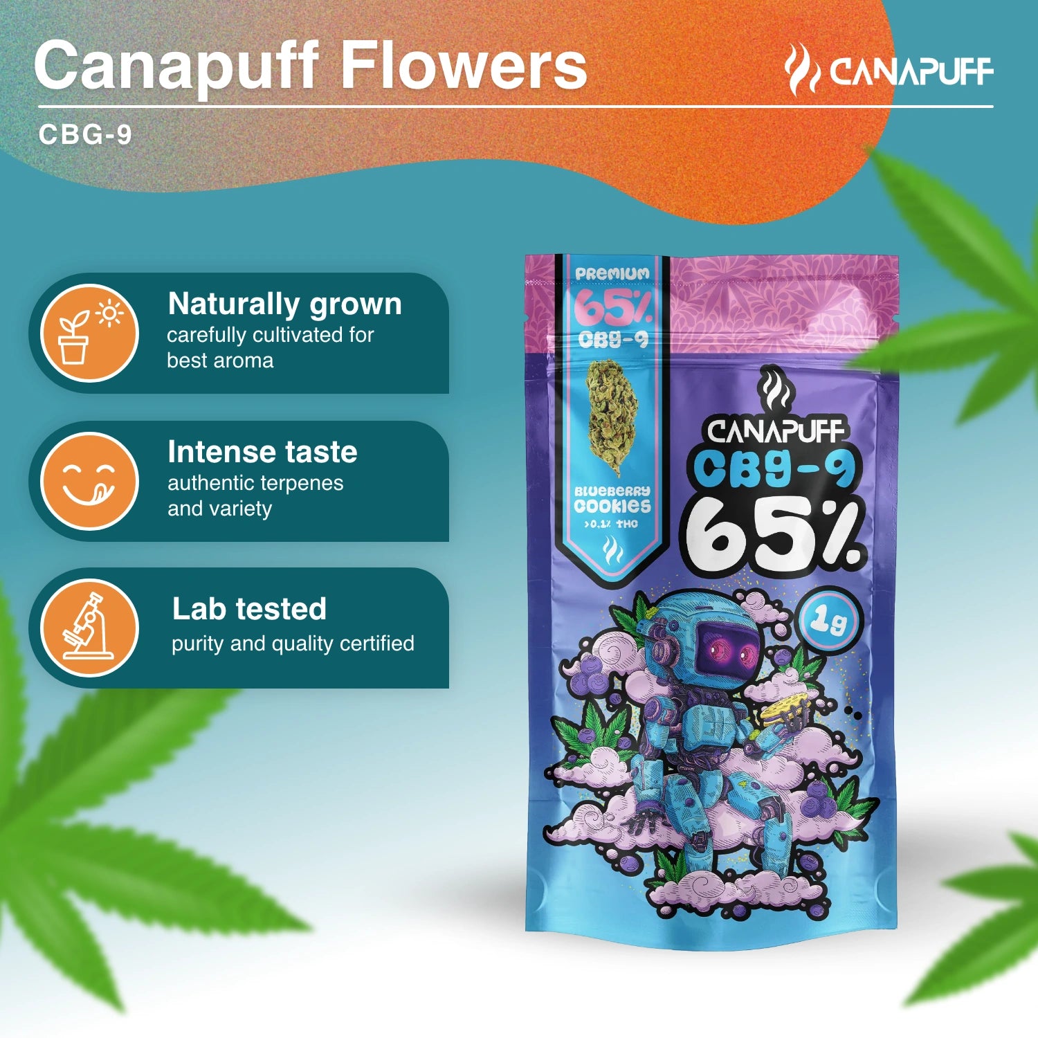 Blueberry Cookie 65% - CBG9 Virágzat - Canapuff