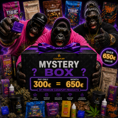 Mystery Box XXL Csomag