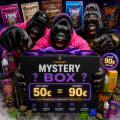 Mystery Box M Csomag